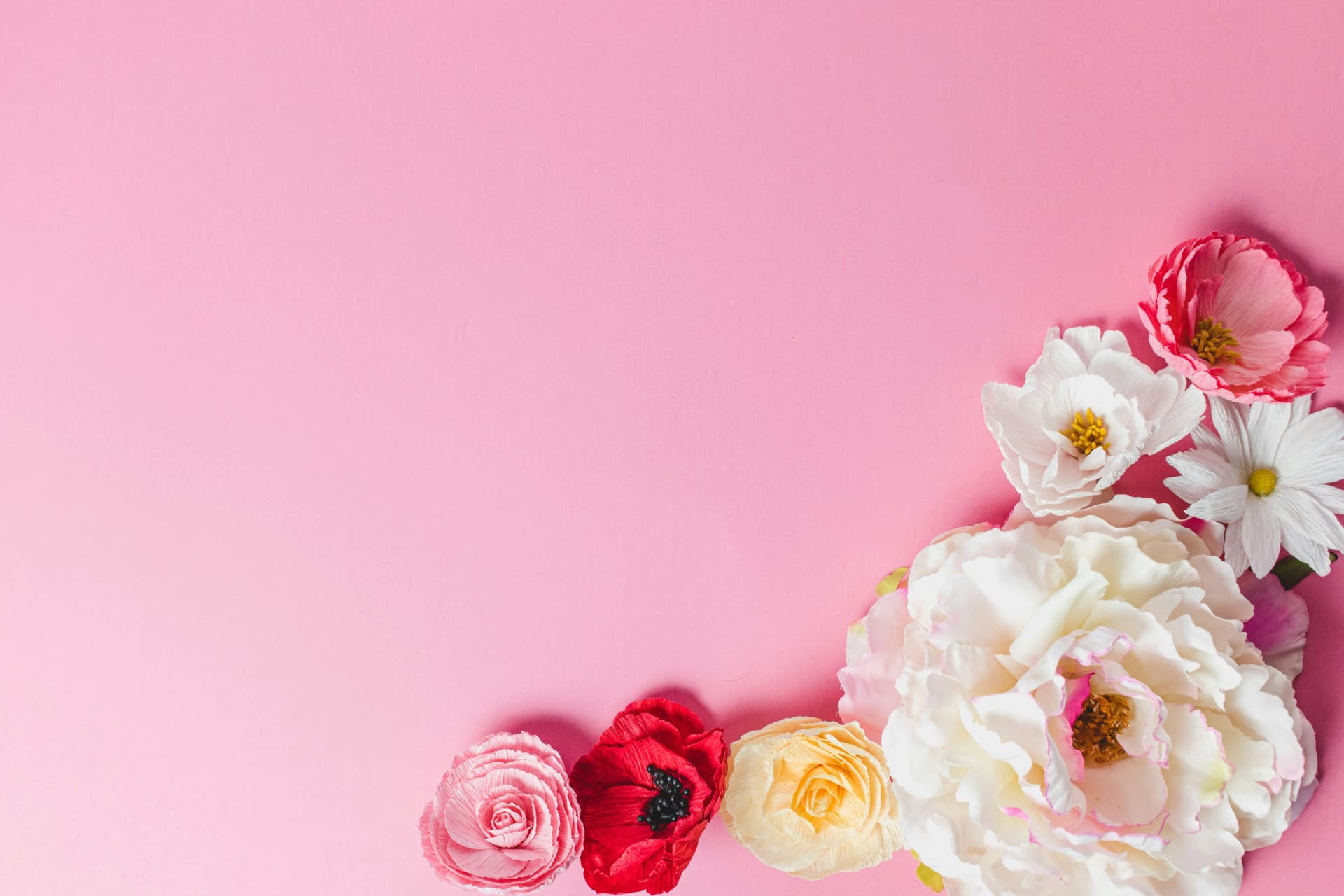 A wall of pink and burgundy flowers